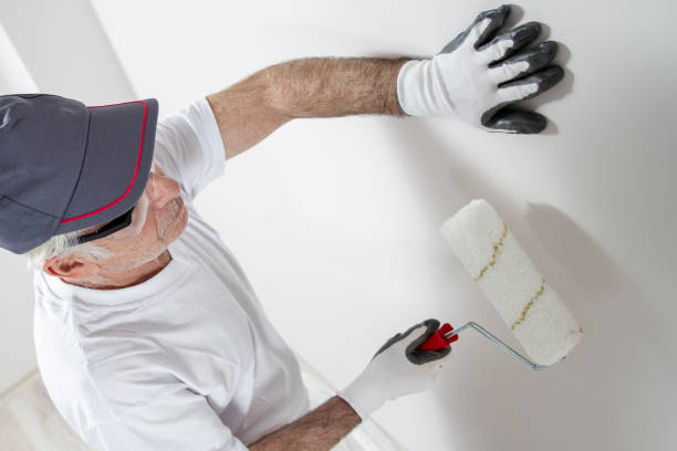 Best Mold Remediation for Rental Properties  in Fairport Harbor, OH