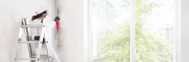 Best Mold Remediation for Healthcare Facilities  in Fairport Harbor, OH